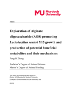 Exploration of Alginate oligosaccharide (AOS) promoting Lactobacillus reuteri Y15 growth and production of potential beneficial metabolites and their mechanisms