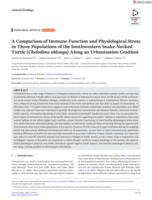 A Comparison of Immune Function and Physiological Stress in Three Populations of the Southwestern Snake‐Necked Turtle ( Chelodina oblonga ) Along an Urbanisation Gradient