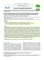 An ancient super allele of the Vrs1 gene driving the recent success in modern barley improvement through optimising spike architecture
