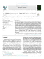 tae-miR9668 negatively regulates TaRPM1-1A to enhance salt tolerance in wheat