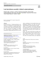 Leaf microbiome assembly is linked to plant phylogeny
