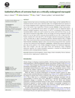 Sublethal effects of extreme heat on a critically endangered marsupial