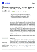 Genome-Wide Identification of RTE Gene Family Members in Sweet Potato and Their Expression Patterns Under Salt and Drought Stress