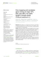 Fine mapping and candidate gene mining of major QTL QSL.caas-6BL.1 for spike length in bread wheat (Triticum aestivum L.)