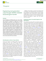 Engineering next-generation crops through CRISPR-mediated horizontal gene transfer