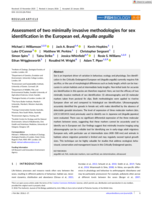 Assessment of two minimally invasive methodologies for sex identification in the European eel, Anguilla anguilla