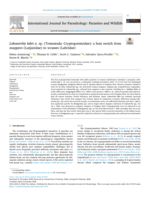 Lobosorchis labri n. sp. (Trematoda: Cryptogonimidae): a host switch from snappers (Lutjanidae) to wrasses (Labridae)