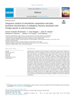 Integrative analysis of microbiome composition and plant beneficial characteristics of endophytic bacteria associated with Prosopis species in arid environment