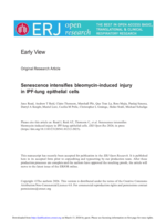Senescence intensifies bleomycin-induced injury in IPF-lung epithelial cells