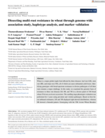 Dissecting multi-rust resistance in wheat through genome-wide association study, haplotype analysis, and marker validation