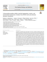 3-Deoxyanthocyanidins inhibit β-amyloid aggregation, toxicity, and mitochondrial dysfunction: Evidence from MC-65 cells and molecular dynamics simulations