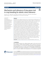 Mechanism and relevance of stay green trait in crop breeding for abiotic stress tolerance