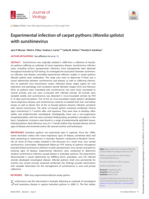 Experimental infection of carpet pythons (Morelia spilota) with sunshinevirus