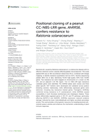 Positional cloning of a peanut CC-NBS-LRR gene, AhRRS6, confers resistance to Ralstonia solanacearum