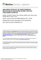 ANALGESIC EFFICACY OF SUBCUTANEOUS MELOXICAM IN RED-EARED SLIDER TURTLES (TRACHEMYS SCRIPTA)