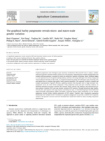 The graphical barley pangenome reveals micro- and macro-scale genetic variation