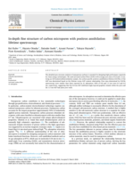 In-depth fine structure of carbon micropores with positron annihilation lifetime spectroscopy