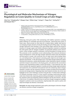 Physiological and Molecular Mechanisms of Nitrogen Regulation on Grain Quality in Cereal Crops at Later Stages