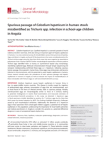 Spurious passage of Calodium hepaticum in human stools misidentified as Trichuris spp. infection in school-age children in Angola
