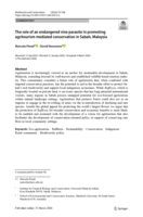 The role of an endangered vine parasite in promoting agritourism mediated conservation in Sabah, Malaysia