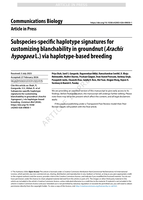 Subspecies-specific haplotype signatures for customizing blanchability in groundnut (Arachis hypogaea L.) via haplotype-based breeding