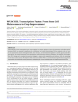 WUSCHEL Transcription Factor: From Stem Cell Maintenance to Crop Improvement