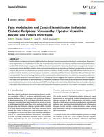 Pain Modulation and Central Sensitization in Painful Diabetic Peripheral Neuropathy: Updated Narrative Review and Future Directions