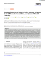 Structure Formation in Butterfly Scales: Interplay of Genetic Control, Mechanical Instabilities, and Dynamic Material Properties