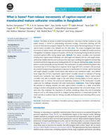 What is home? Post-release movements of captive-reared and translocated mature saltwater crocodiles in Bangladesh