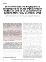 Environmental and Phylogenetic Investigations of Aspergillus flavus Outbreak Linked to Contaminated Building Materials, Denmark, 2025
