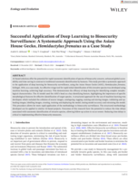 Successful Application of Deep Learning to Biosecurity Surveillance: A Systematic Approach Using the Asian House Gecko, Hemidactylus frenatus as a Case Study