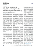 WDR91, an endosomal maturation protein, promotes antisense oligonucleotide activity