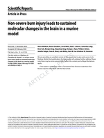 Non-severe burn injury leads to sustained molecular changes in the brain in a murine model