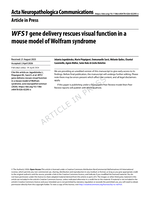 WFS1 gene delivery rescues visual function in a mouse model of Wolfram syndrome