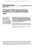LOX-A4 shapes Triticum urartu gene pools and contributions to the A subgenome of polyploid wheat