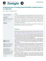 Foraging behaviour of nesting Striated Thornbills Acanthiza lineata : is sex important?