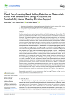 Visual Deep Learning-Based Soiling Detection on Photovoltaic Panels with Inverter-Level Energy Validation and Sustainability-Aware Cleaning Decision Support