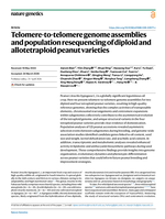 Telomere-to-telomere genome assemblies and population resequencing of diploid and allotetraploid peanut varieties