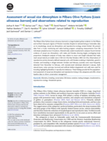 Assessment of sexual size dimorphism in Pilbara Olive Pythons (Liasis olivaceus barroni) and observations related to reproduction