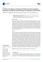 A Follow-up Study on Testicular Cellular and Transcriptomic Responses to Mild Scrotal Heat Stress in Wugu-Hu and Hu Rams