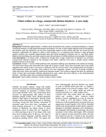 Chick welfare in a large, commercial chicken hatchery: A case study