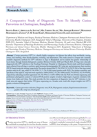 A Comparative Study of Diagnostic Tests To Identify Canine Parvovirus in Chattogram, Bangladesh