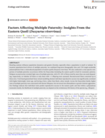Factors Affecting Multiple Paternity: Insights From the Eastern Quoll (Dasyurus viverrinus)