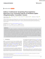 Solitary Confinement: Surprising Post‐Copulatory Behaviour of an Australian Species of Wishbone Spider (Mygalomorphae: Anamidae: Aname)