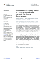 Behaviour and buoyancy control in a shallow diving marine mammal, the dugong (Dugong dugon)