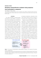 Navigating myeloproliferative neoplasms during pregnancy: from preconception to postpartum