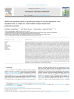 Molecular characterization of genetically related co-circulating bovine viral diarrhea virus in cattle and water buffalo within mixed-herd production systems