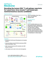 Decoding the human CD4 + T cell epitope repertoire for Lassa fever virus reveals T cell-based pan-mammarenavirus vaccine candidates