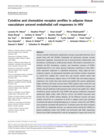 Cytokine and chemokine receptor profiles in adipose tissue vasculature unravel endothelial cell responses in HIV