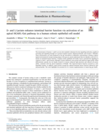 D- and L-Lactate enhance intestinal barrier function via activation of an apical HCAR1/Gαi pathway in a human colonic epithelial cell model